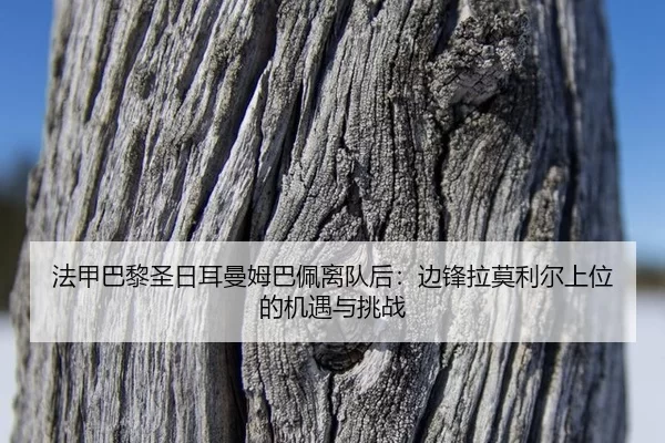fa-jia-ba-li-sheng-ri-er-man-mu-ba-pei-li-dui-hou-bian-feng-la-mo-li-er-shang-wei-de-ji-yu-yu-tiao-zhan-3-701.jpg